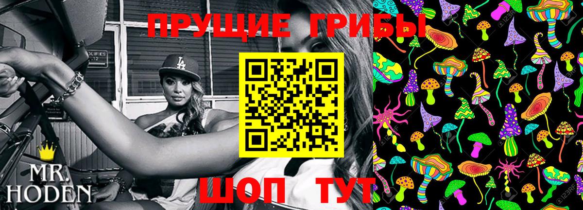 Галлюциногенные грибы GOLDEN TEACHER Серпухов